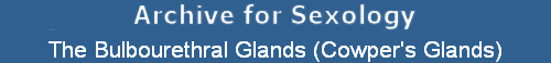The Bulbourethral Glands (Cowper's Glands)