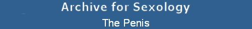 The Penis