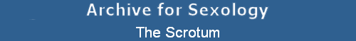 The Scrotum