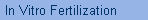 In Vitro Fertilization