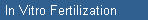 In Vitro Fertilization