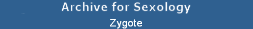 Zygote