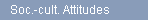 Soc.-cult. Attitudes
