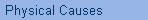 Physical Causes