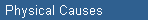 Physical Causes