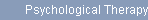 Psychological Therapy