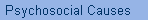 Psychosocial Causes