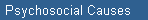 Psychosocial Causes