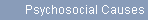 Psychosocial Causes