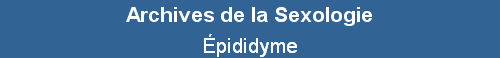 pididyme