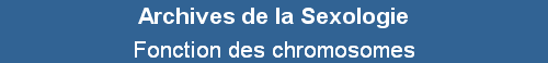 Fonction des chromosomes
