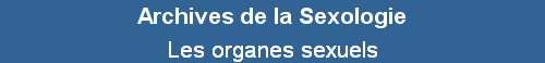 Les organes sexuels