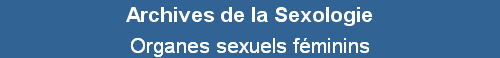Organes sexuels fminins