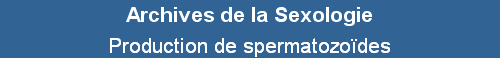 Production de spermatozo�des