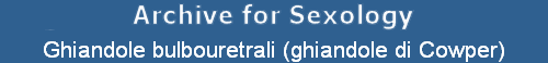 Ghiandole bulbouretrali (ghiandole di Cowper)
