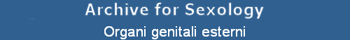 Organi genitali esterni