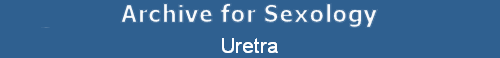 Uretra