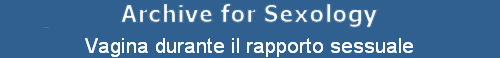 Vagina durante il rapporto sessuale