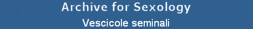 Vescicole seminali