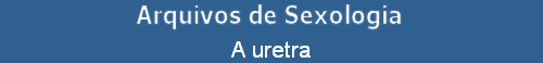 A uretra