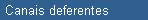 Canais deferentes