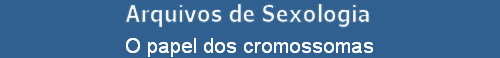 O papel dos cromossomas