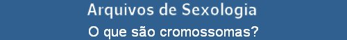 O que s�o cromossomas?