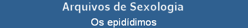 Os epiddimos