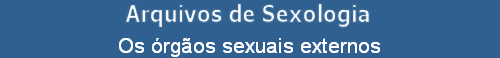 Os rgos sexuais externos