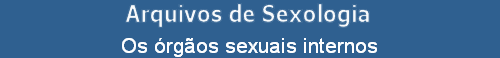 Os rgos sexuais internos