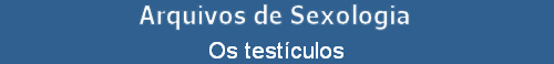 Os testculos