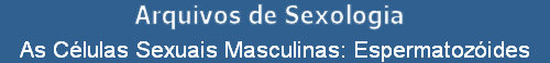 As C�lulas Sexuais Masculinas: Espermatoz�ides