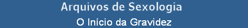 O In�cio da Gravidez