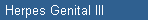 Herpes Genital III