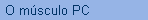 O msculo PC