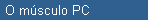 O msculo PC