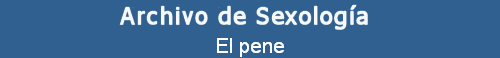 El pene