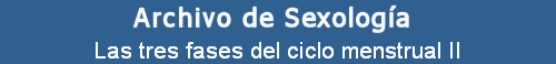Las tres fases del ciclo menstrual II