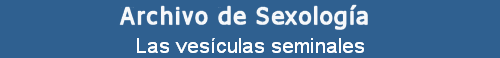 Las vesculas seminales