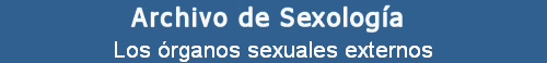 Los rganos sexuales externos