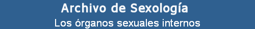 Los rganos sexuales internos