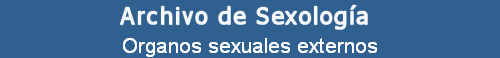 Organos sexuales externos