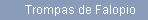 Trompas de Falopio