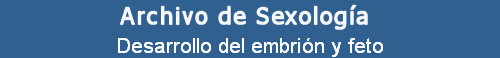 Desarrollo del embri�n y feto