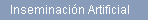 Inseminacin Artificial