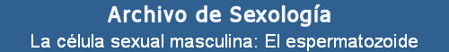 La clula sexual masculina: El espermatozoide
