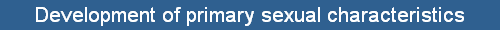 Development of primary sexual characteristics