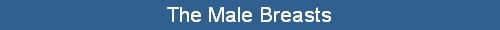 The Male Breasts