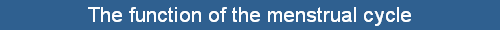 The function of the menstrual cycle
