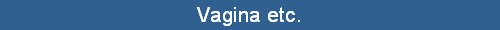 Vagina etc.